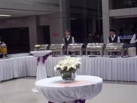 Ӣ�Ƶ�����x��